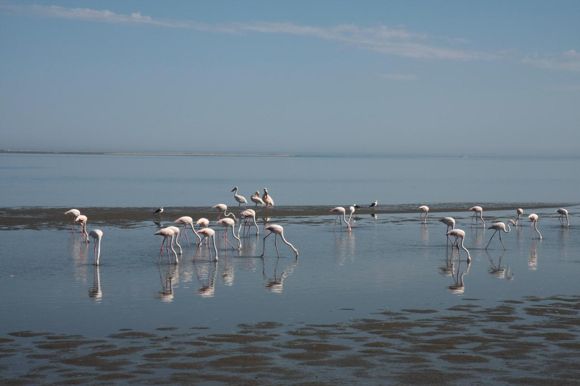 Lagoon Lodge Walvis Bay Exteriör bild