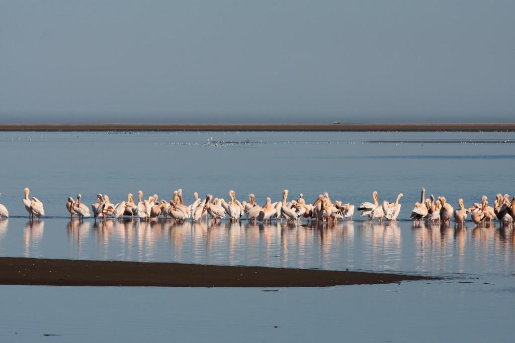Lagoon Lodge Walvis Bay Exteriör bild